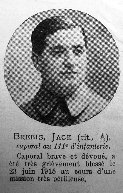 brebis_jack