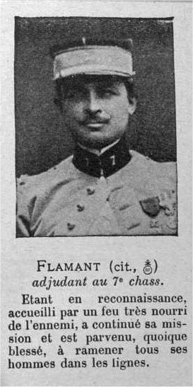 flamant