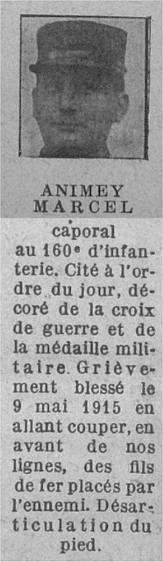 animey_marcel_160RI_pdg71