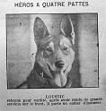 chien-loustic_pdg84