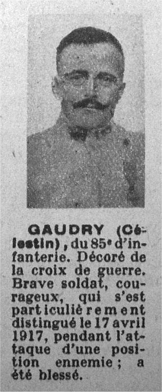 gaudry_celestin_85RI_pdgns40