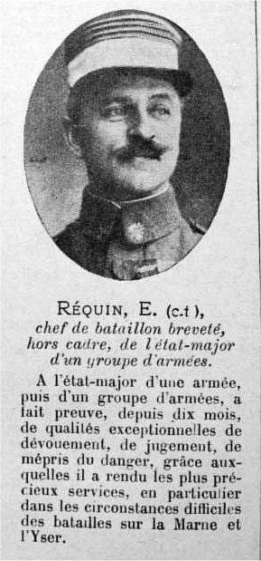 requin_e