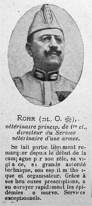 rohr